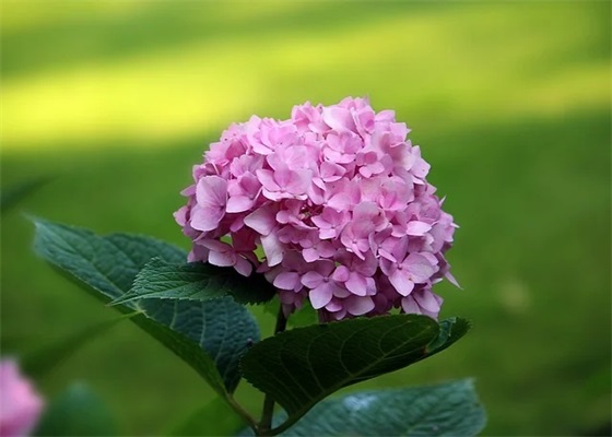 关于信仰的好句子大全