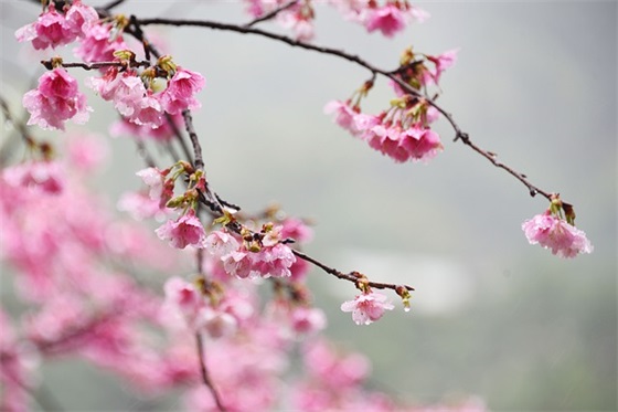 调侃自己长得好看幽默句子(夸自己帅的搞笑句子)