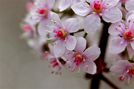 表达生活从新开始的句子