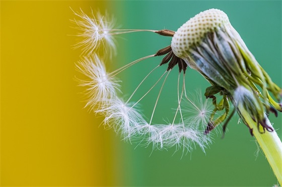 感悟生活不易的心情句子 生活不易的短语