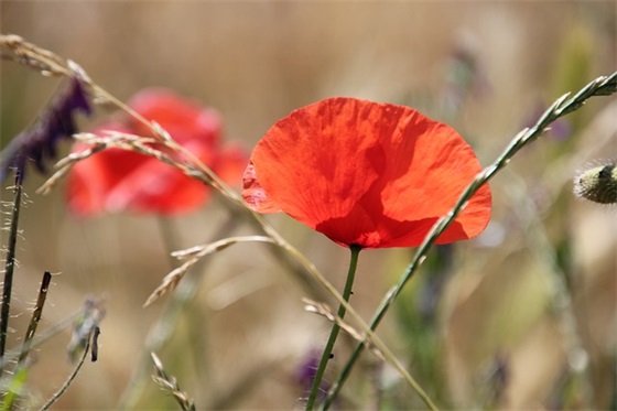 2025年伤感句子108句