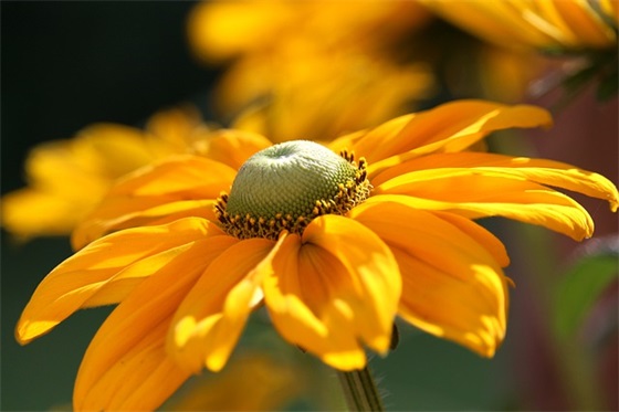 萌萌个性网名女生
