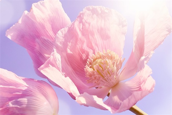 冷酷的qq网名女生