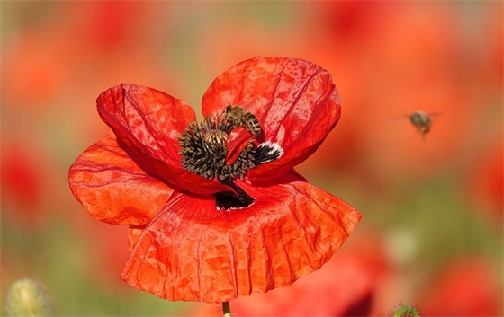 简单的网名昵称女生