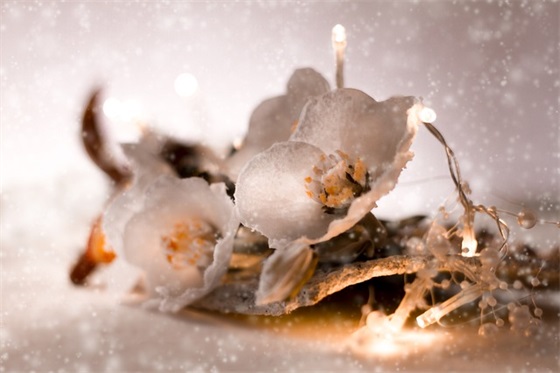 古风男生古诗网名