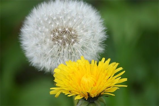 带句号的网名qq