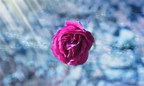 qq网名 带奇字的