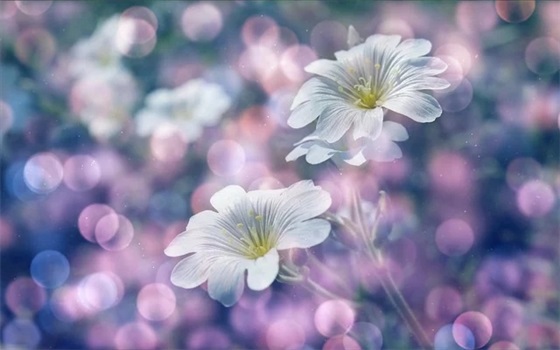 我姓高的qq网名