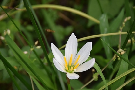 关于初中生的qq网名