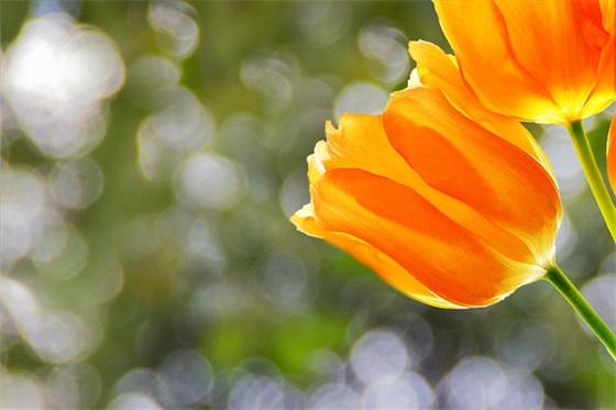 好听的个性女网名大全