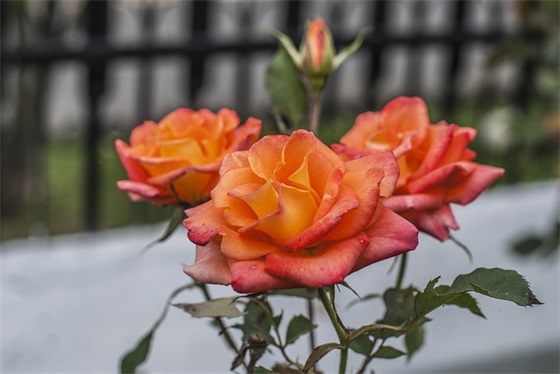 女生吃鸡个性网名