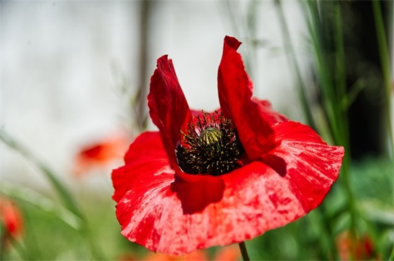 腾讯qq网名限制