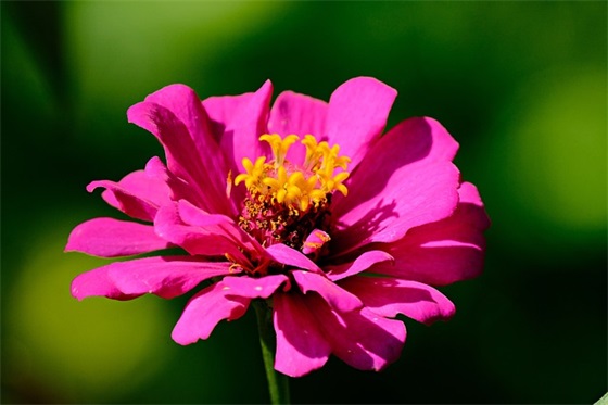 qq网名 迅雷下载