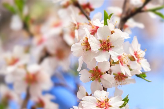 个性网名女生可爱古风