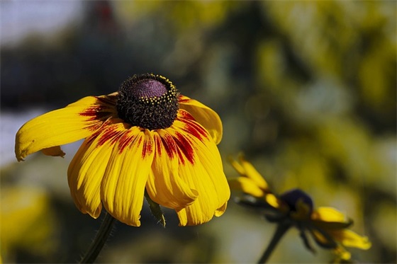 女生个性网名带符号