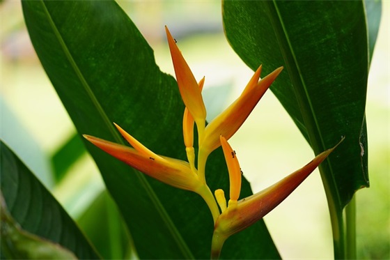 女生可爱网名2025