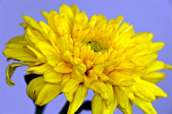 吸引女人的qq网名