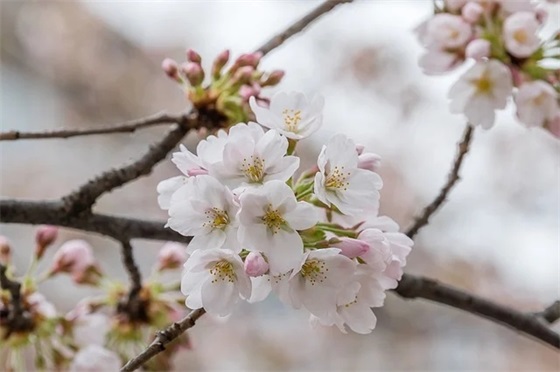 qq备注网名都看见