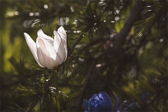 qq网名盖世英雄