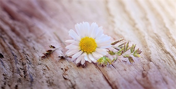 矿山测量技术论文