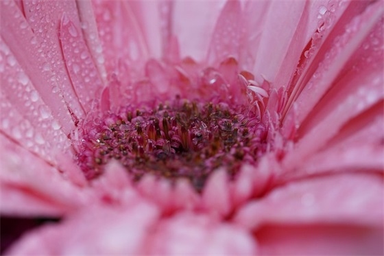 会计电算化实习目的