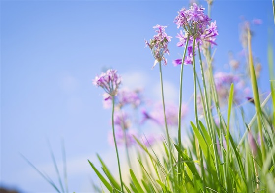 带自己名字的温柔网名