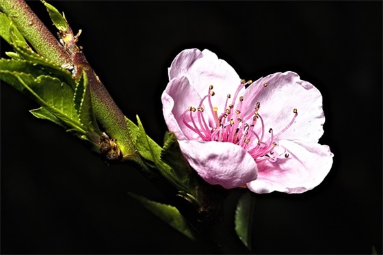 网名带喜欢的人的名字中文