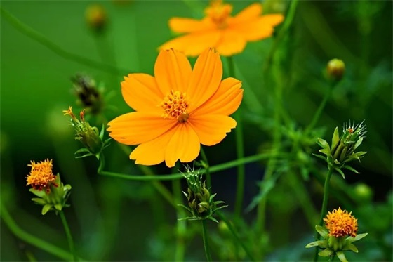 带爱嗨的网名昵称