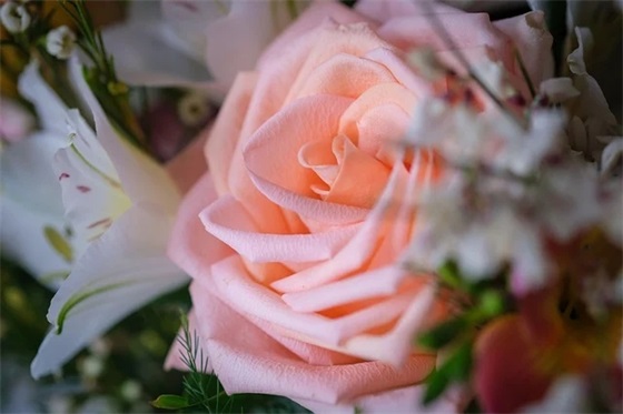 带爱娇的网名女生名字