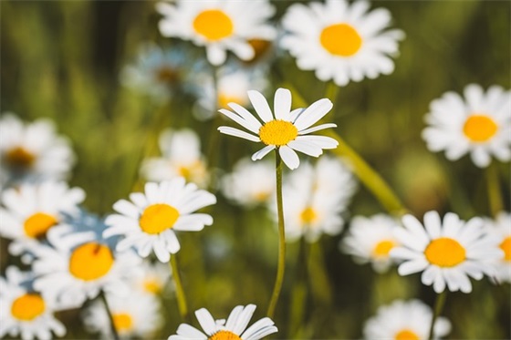 带别改的网名昵称