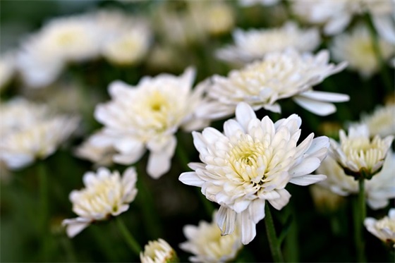 带超人的网名情侣英文