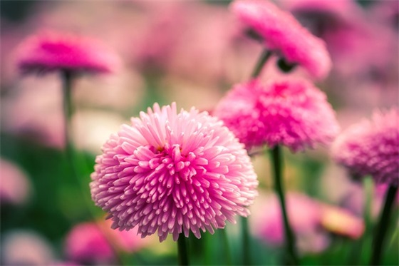 带多个符号的网名情侣名字