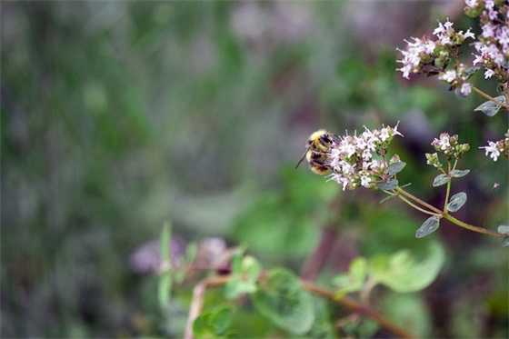 微信名字男士简单气质的