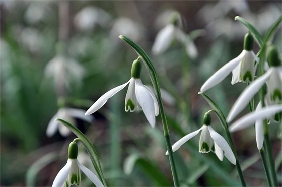 带癌错的网名昵称