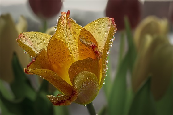 带被人名字的网名男