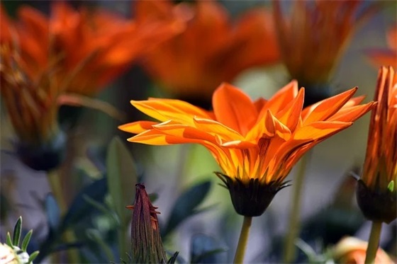 带别珈的网名昵称