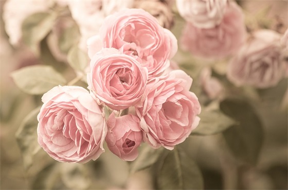 带超人的网名英文小众