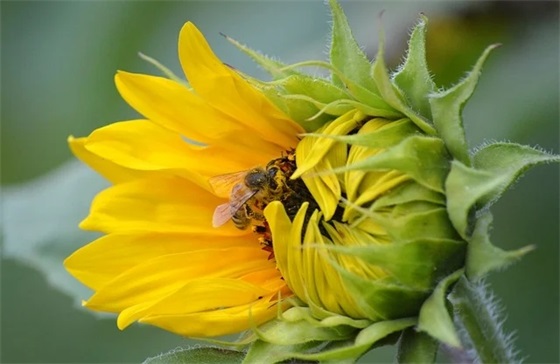 带地名的王者网名女生可爱