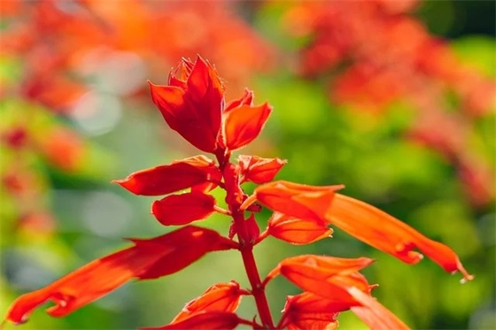 带余生比较皮的网名