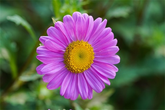 带长滩的网名女生名字