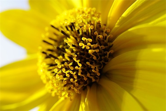 带真人名的网名大全男