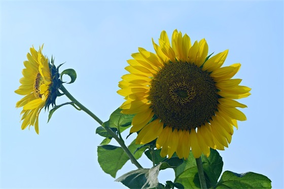 带魔字的网名男霸气