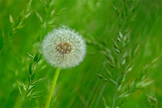 带陌字的群网名