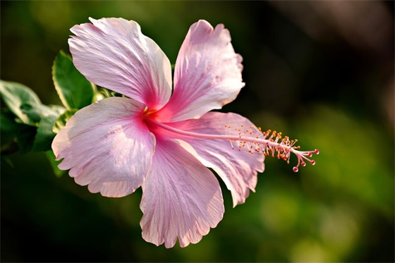 带陌的网名唯美的