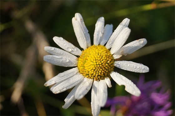 带陌字的女孩网名大全