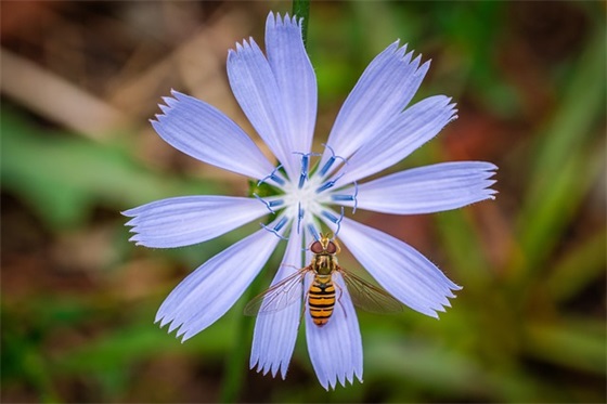 带墨子的古风情侣网名