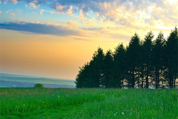 带陌字的微信网名