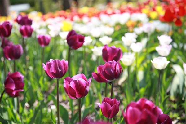 带童字的网名女生谐音