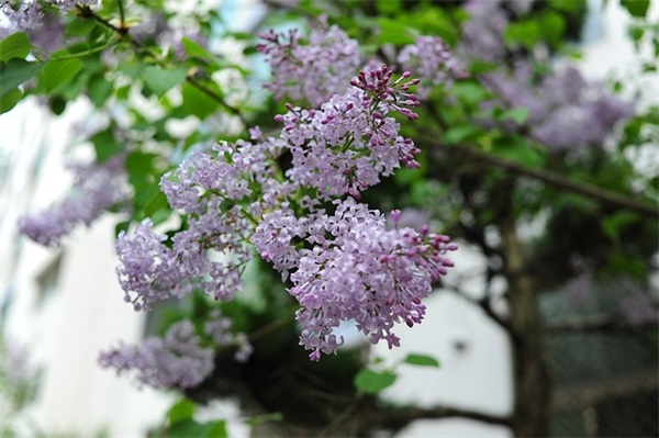 带娃上班的网名男生名字