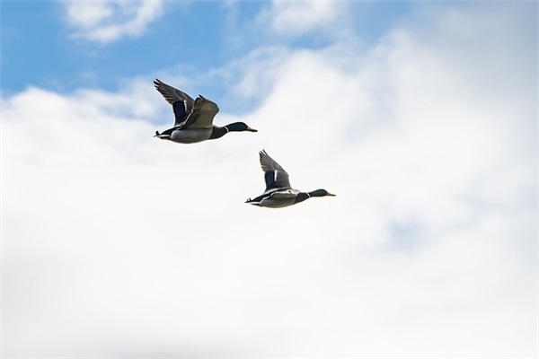 陌陌五个字网名(267个)